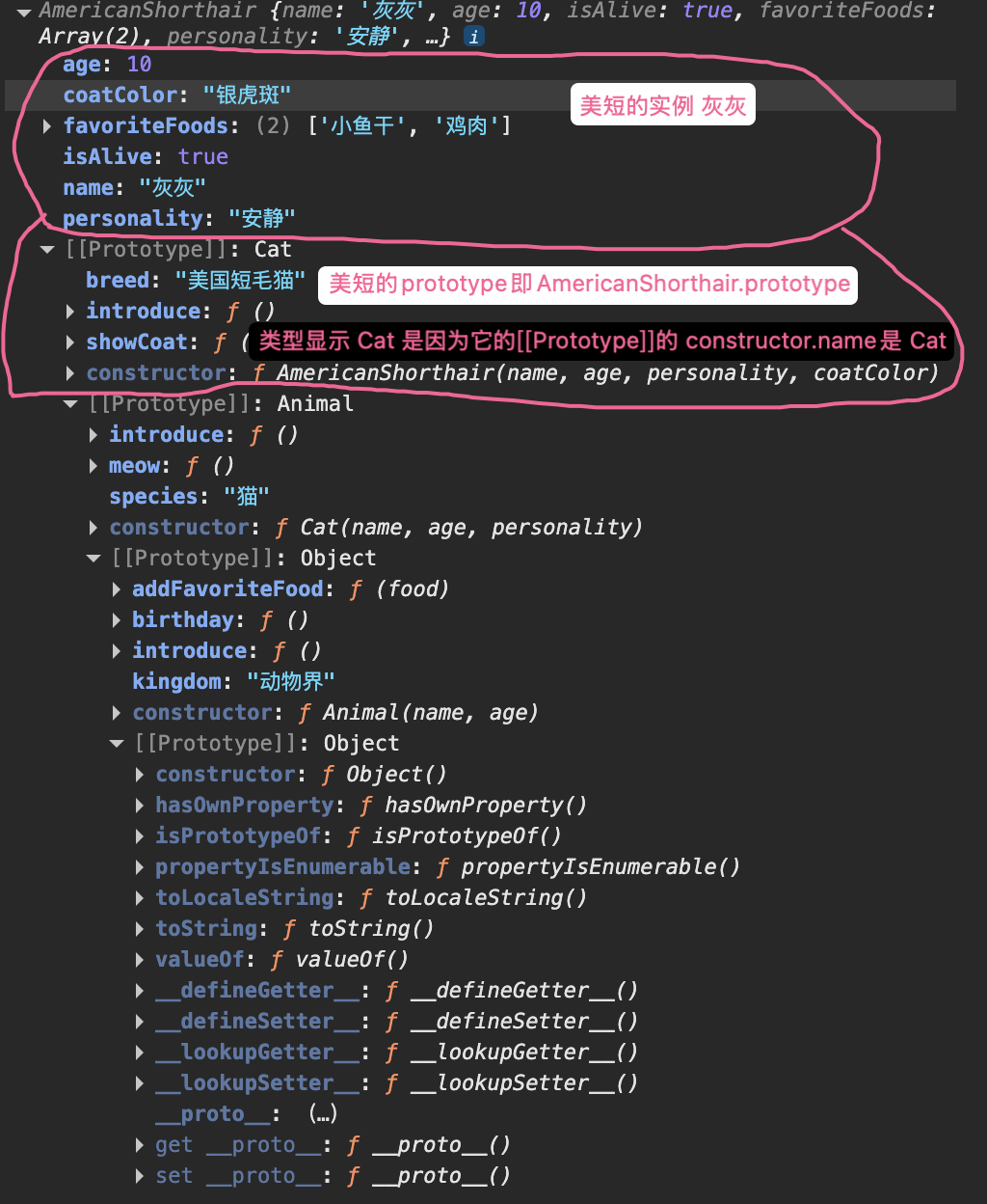 灰灰实例在 DevTools 中的原型链结构